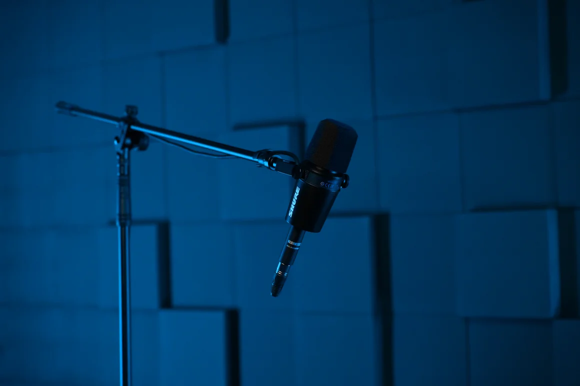 Микрофоны над столом Studio 313